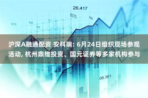 沪深A融通配资 安科瑞: 6月24日组织现场参观活动, 杭州鼎维投资、国元证券等多家机构参与