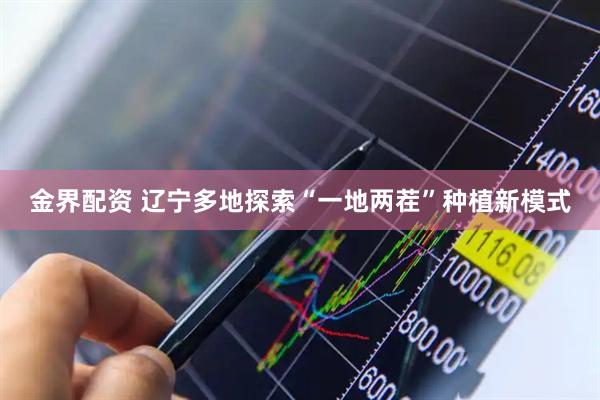 金界配资 辽宁多地探索“一地两茬”种植新模式