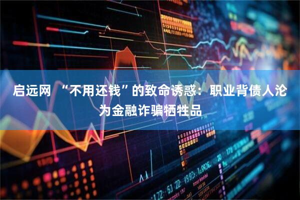 启远网  “不用还钱”的致命诱惑：职业背债人沦为金融诈骗牺牲品