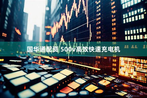 国华通配资 500v高效快速充电机