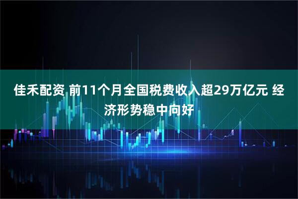 佳禾配资 前11个月全国税费收入超29万亿元 经济形势稳中向好